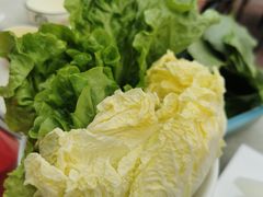 -墨脱石锅椰子鸡•香草鸭•东山羊(大东海店)