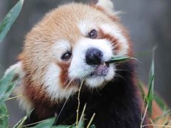 -常州淹城野生动物世界