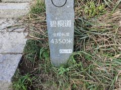 -梧桐山风景名胜区