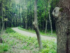 -同里国家湿地公园