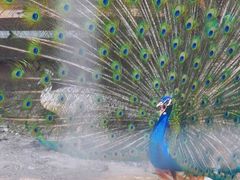 -雪山彩虹谷景区