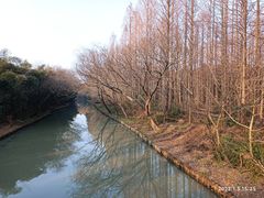 -同里国家湿地公园