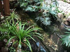 -聚缘堂·海鲜私房菜(松岭路店)