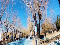 -青龙湖公园