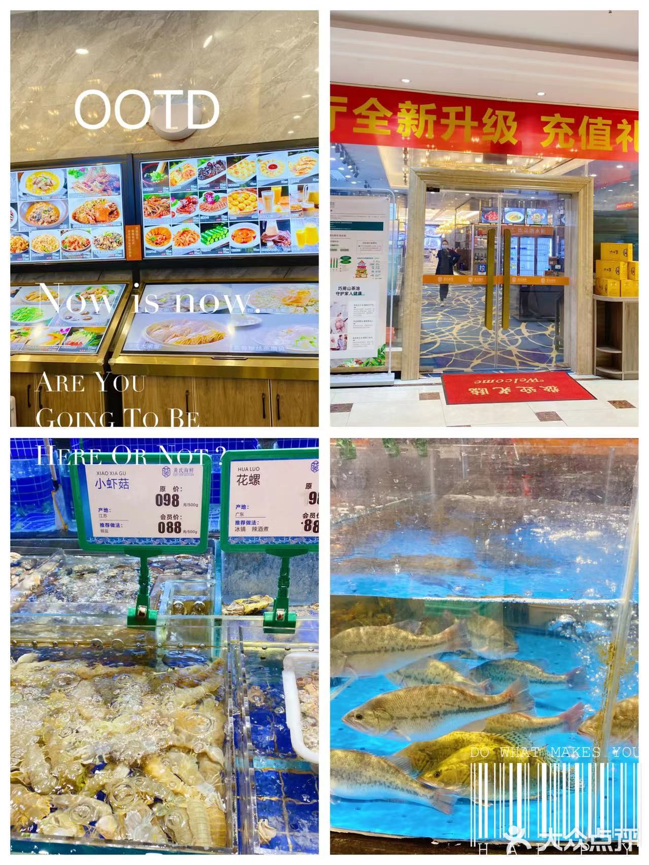 探味海鲜[加油]