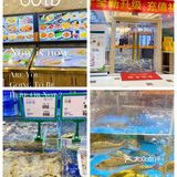 探味海鲜[加油]