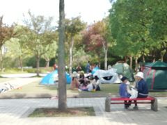 -新江湾城公园