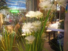 -鲜稻回转寿司(百利城店)