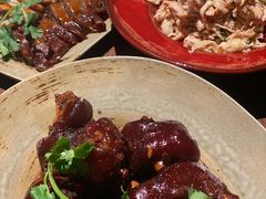 猪脚醋-Night Breeze晚风