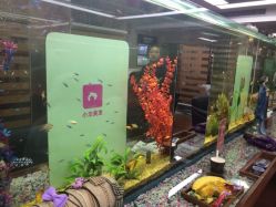 小左美发(南京东路店)-小左美发