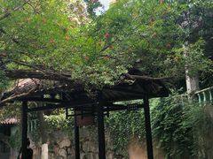 -湖南省立第一师范学校旧址