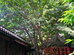-钦善斋(武侯祠店)