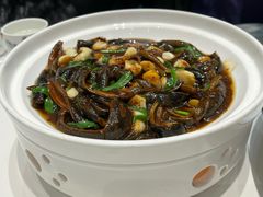 -丁老爷子苏香圆