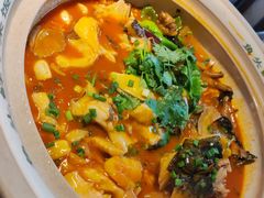 太平湖有机胖头鱼-魏铭鱼头捞饭(晋阳路店)