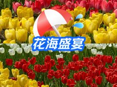 -径山花海