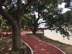 -鹤之洲湿地公园