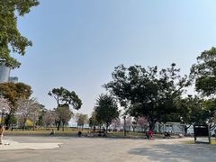 -洲头咀公园