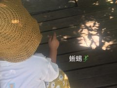 -磐安十八涡风景区