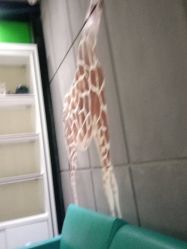 点击看大图 -小时候儿童摄影(解放大道店)