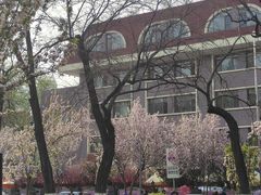 -天津五大道文化旅游区