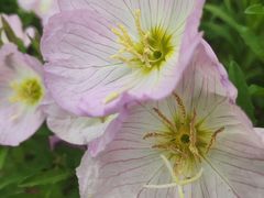 -玄武湖景区-情侣园游乐场