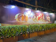 -广州长隆国际大马戏