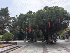 -金砂公园