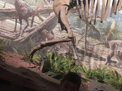 -辽宁古生物博物馆