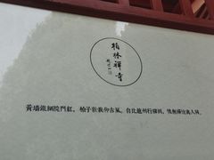 -赵州桥景区