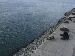 -多瑙河畔鞋履雕塑