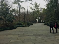 -江南春(中山中路店)