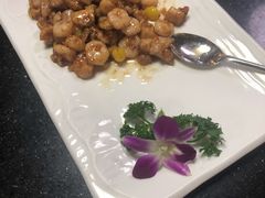 鸡里蹦-丁老爷子苏香圆