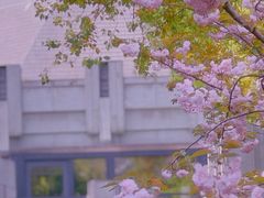 -中山公园