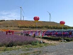-草原天路(张北县)