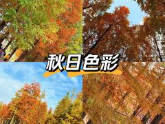 -白鹭湾湿地公园