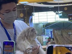 -上海新国际博览中心-P1立体停车场