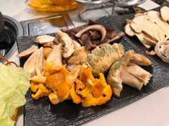 -蘑统田下·野生菌火锅