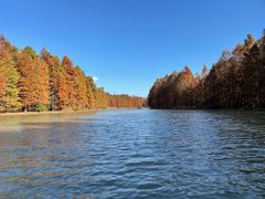 -上海海湾国家森林公园