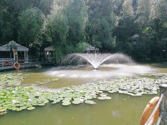 -大鹅岛绿色生态美食园