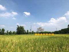 -迪茵湖田家舍生态农场