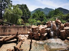 -西安秦岭野生动物园