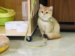 -芭比堂动物医院广州顽皮分院