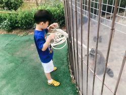 -萌宠亲子动物乐园(槐房万达店)