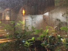 -天水蔬食料理(树德之光店)