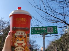 -鸡鸣赐茶(鸡鸣寺路店)