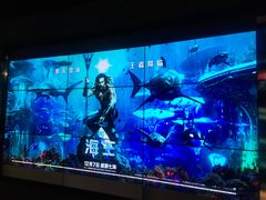 -百美汇影城(LUXE嘉里中心店)