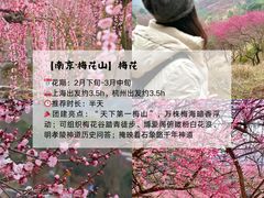 -上海山野camping·户外天幕烧烤·团建拓展营地