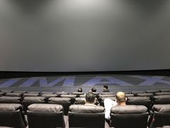 IMAX厅-万达影城(西铁营万达广场IMAX店)