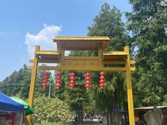 -渌洋湖湿地公园