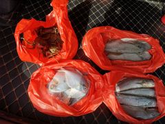 -芦潮港集贸市场